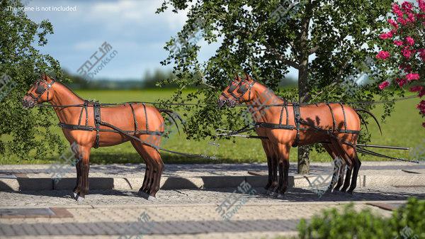images/goods_img/20210312/3D Team of Four Breast Collar Harness/5.jpg